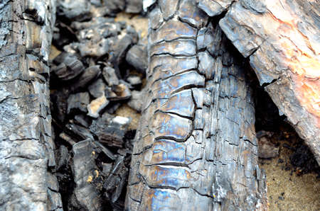 Scorched and charred woodの写真素材