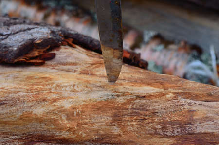 knife blade in timber log stackの写真素材