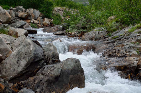 small mountain creek stream in summer
