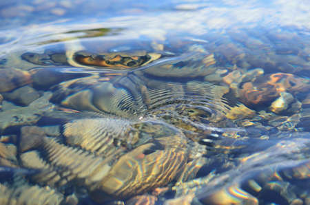 Macro photo of flowing river water on a sunny summer day
