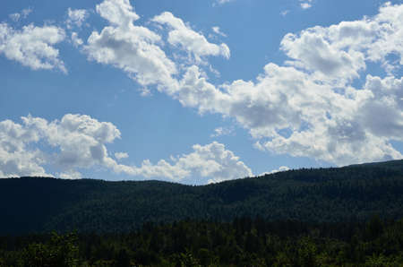 Beautiful clouds and blue sky  with a forest line in the front