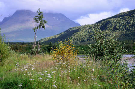 mountain, river, forest and shrubbery landscape photoの写真素材