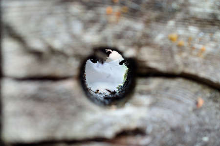 hole in log with spiderweb in the endの写真素材