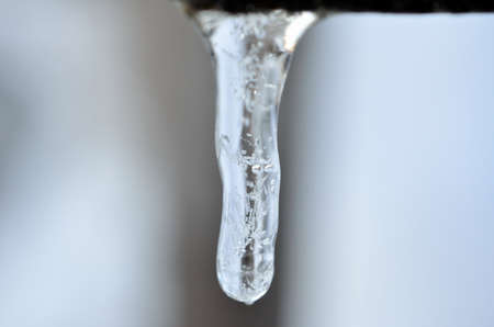 clean icicle macro photoの写真素材