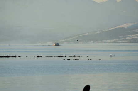 incoming boat on fjordの写真素材