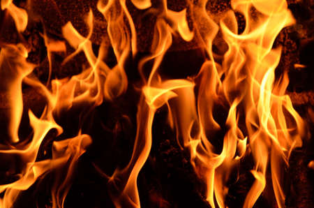 Hot vivid burning birch logs in fireplace on a cold winter dayの写真素材