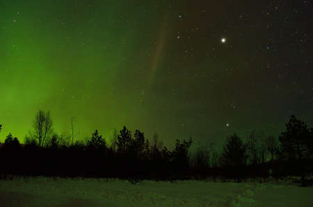 clear and beautiful aurora borealis, northern light on the arctic night sky in winterの写真素材