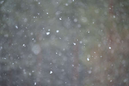 Blurred snowfallの写真素材