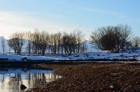 sunshine over silent fjord with vibrant blue sky and long sea shoreの写真素材