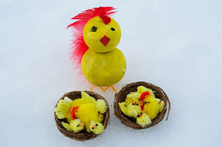 Easter chickens on snow