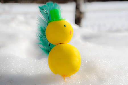 homemade easter chicken with top hat on snow
