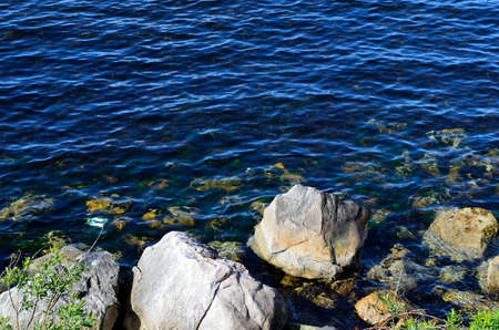 sea shore in summer