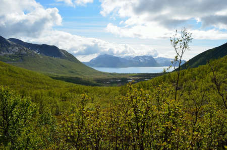 summer lush green valley with fjord and mountains in the distanceの写真素材