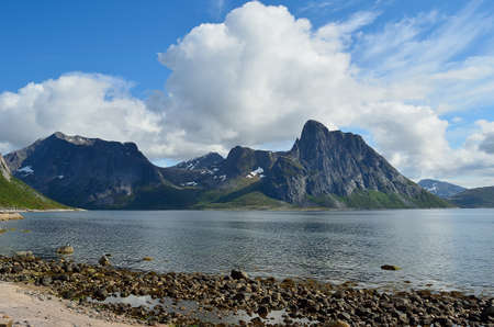beautiful summer fjord and mountain