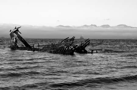 cormorant birds sitting on a wooden ship wreck in a fjord with mountains shrouded in thick fog black and whiteの写真素材