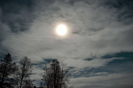 full moon in arctic circle with forest and tree silouetteの写真素材
