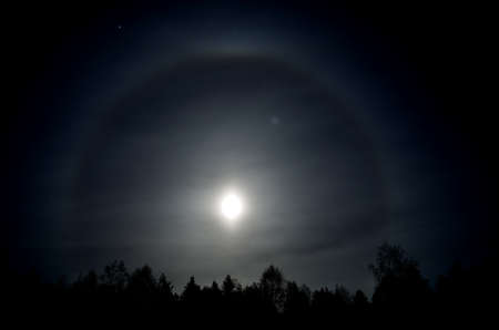 beautiful round ring around a full moon behind dark spruce tree forest at night timeの写真素材