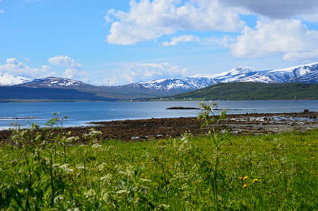 snowy mountain and blue fjord and sky in summerの写真素材