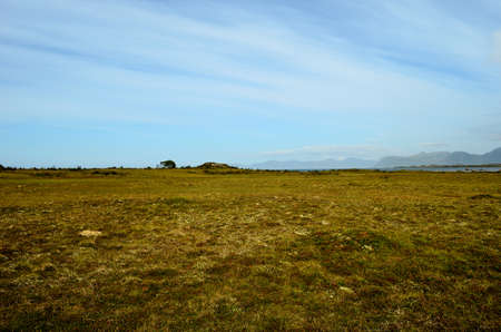long deep field near seashore with blue summer skyの写真素材