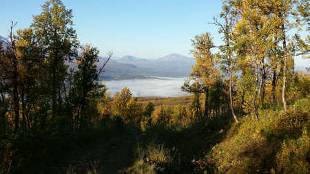 Yellow autumn forest with mountain, blue sky and maalselv county shrouded in early morning mist fogの素材