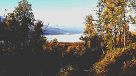 Yellow autumn forest with mountain, blue sky and maalselv county shrouded in early morning mist fogの素材