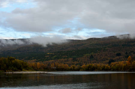river flow and colourful autumn forest landscape