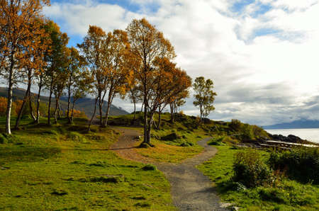 autumn landscape with fjord, tree and sunshineの写真素材