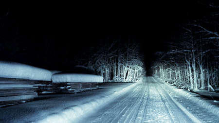Long straight road through winter birch tree forest with deep snowの素材