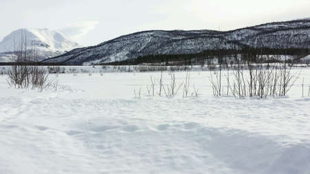 Frozen and snowy riverbed and mountain landscape