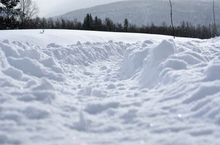 tire tracks in deep winter snowの写真素材