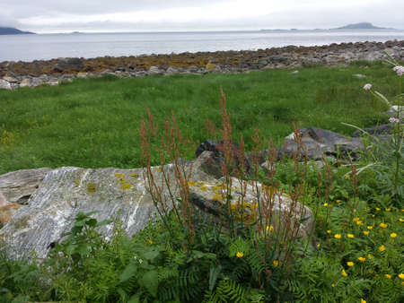 long green field with mighty fjord and mountain landscape in the arctic circle summerの写真素材
