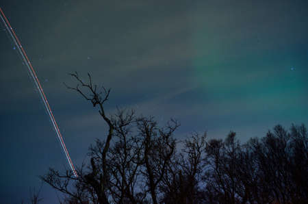 airplane light stripe on star filled sky with aurora borealis and trees