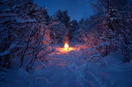 hot warming campfire in snowy winter forestの写真素材