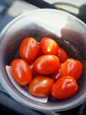 Tomato travel snack inside carの素材