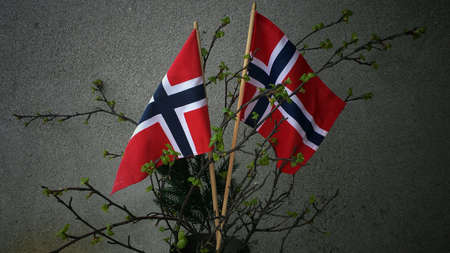 Norwegian flag on national dayの素材