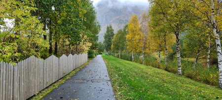 Autumnal alley in the park. Panoramic view.の写真素材