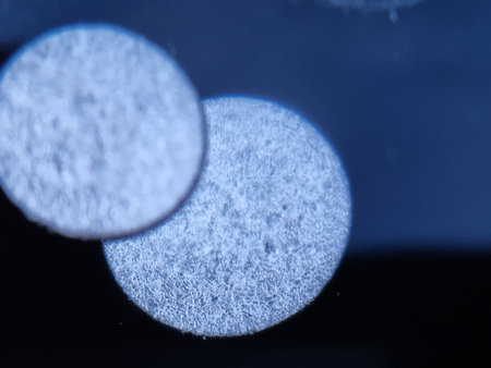 Microscopic view of bacterial cell under microscope on black background.
