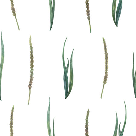 Lush grass from wild fields painted by hand. Seamless watercolor colorful background perfect for fabric, wallpaper or decorative paper.の写真素材