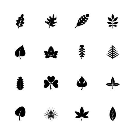 Herb icons - Expand to any size - Change to any colour. Flat Vector Icons - Black Illustration on White Background.のイラスト素材