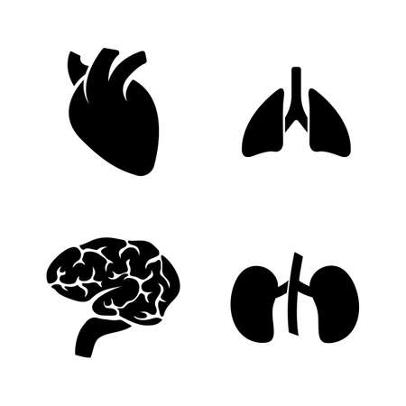Human Organs. Simple Related Vector Icons Set for Video, Mobile Apps, Web Sites, Print Projects and Your Design. Black Flat Illustration on White Background.のイラスト素材