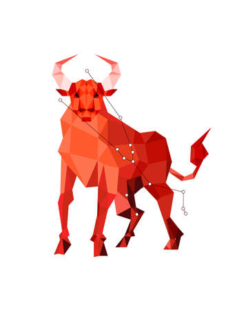 Colorful geometric silhouette of Taurus animal on white backgroundの写真素材
