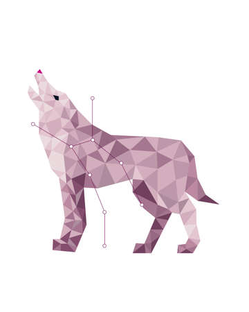 Colorful geometric silhouette of wolf animal on white backgroundの写真素材