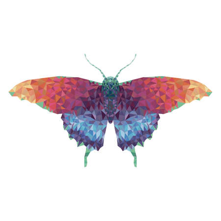 Minimalistic butterfly silhouette with rainbow wingsの写真素材