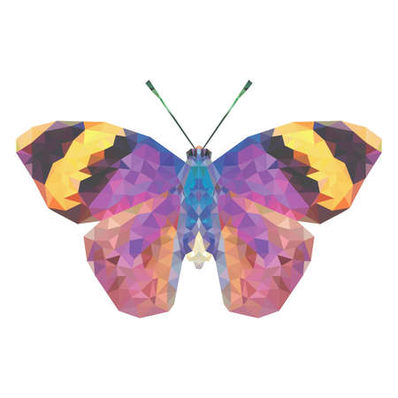 Geometric butterfly silhouette with pink and yellow wings