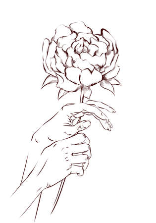 illustration of crossed female hands holding a peony flowerの写真素材
