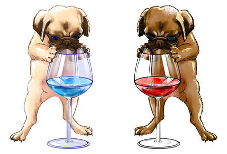 little puppy of two colors with a glass of wine. A bulldog pug puppy stands on two legs and holds on to a glass of colored water. bulldog puppy looking at water in a glassのイラスト素材