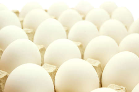 Many white eggs lay in cells. On a white background