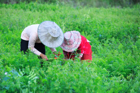 Mother and daughter were hard working.