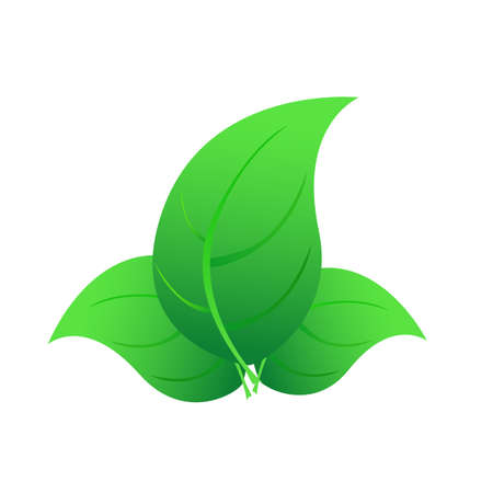 pile of green leaves foliageのイラスト素材