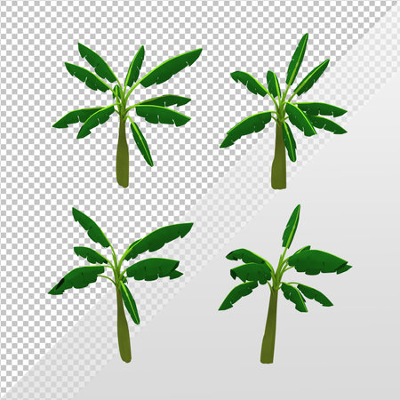 3d rendering of a banana tree without bananas from several perspective top viewの写真素材